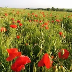 شقة - Au Vieux Moulin Leulinghen-Bernes
